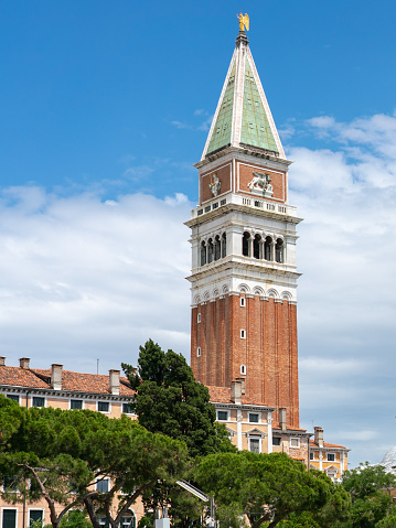 Iconic St Mark's Campanile, one of the most recognizable symbols of Venice seen against blue sky with pine trees below