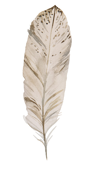 Watercolor beige and cream feather, Bohemian illustration isolated. Monochrome element for boho wedding stationery, greeting cards and other printing and craft projects