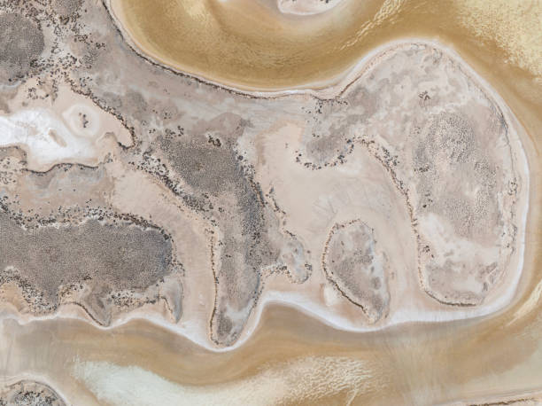 istock Natural shapes and textures on lake 1448178257