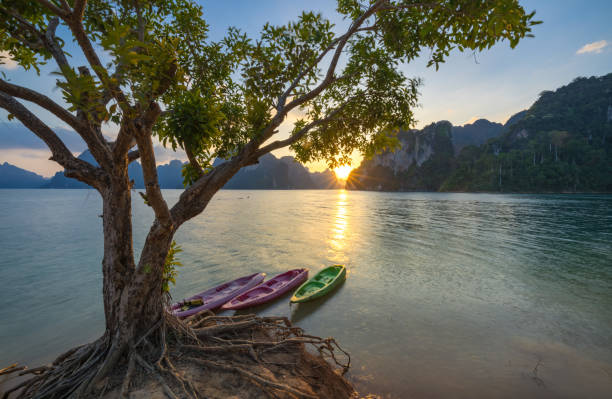 カオソック国立公園の日の出、スラタニ、タイ - カオソック国立公園 ストックフォトと画像