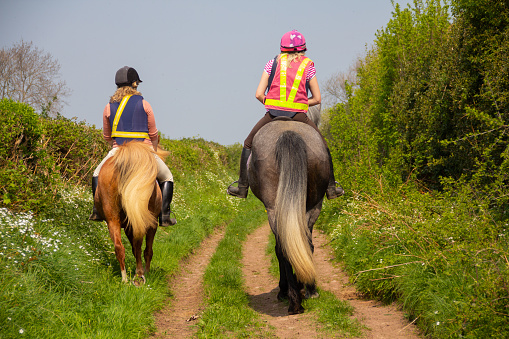 Happy hackers, two women riding their horses down rural bridle path in Shropshire countryside on a lovely Spring day.
