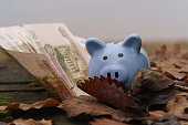 Russian Rubles and Ceramic blue Piggy bank.