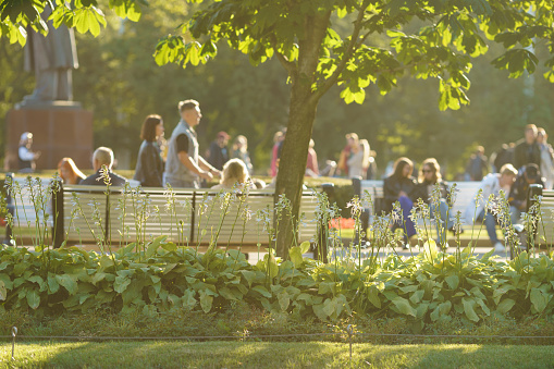 Selective focus. Defocused photography of people. Bright green alley in the Moscow public park. Sunny hot summer day. People resting on the benches. Other walk. Concepts of the leisure and relaxation
