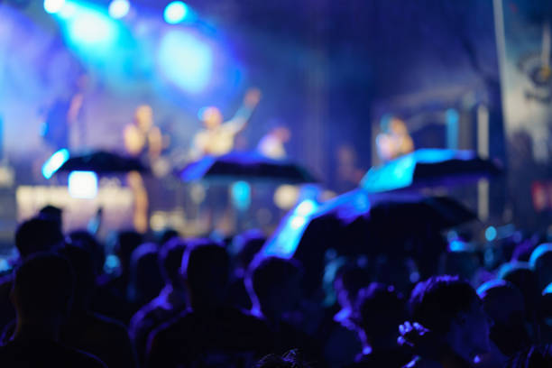 Blurred motion of the crowd on the street night concert. stock photo