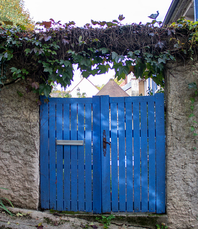 Fairy Garden With a Gate. Blue Gate with a Natural Hedge of Greenery to a Cozy House or Garden.