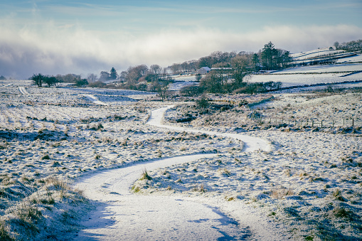 Narrow road winding into the distance in snow covered calm winter scene, with agricultural fields and grass, with distant trees and fog bank. At Country Antrim, Northern Ireland