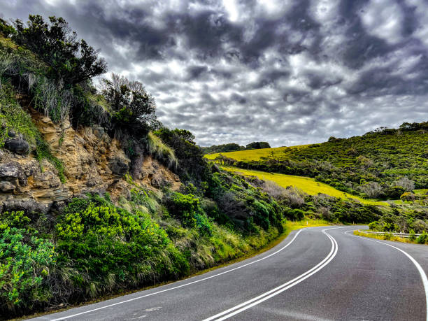 Road Road australian forest stock pictures, royalty-free photos & images