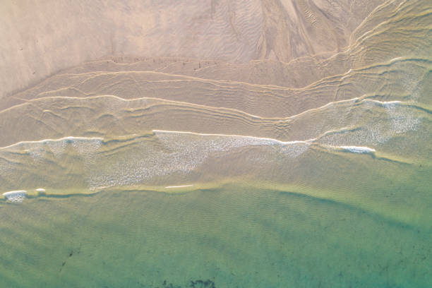 istock zenithal aerial drone view of the waves on a beach shore 1448204514