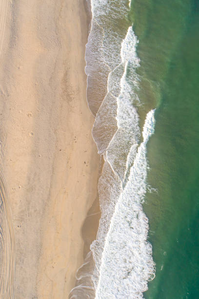 istock overhead drone aerial view of the waves on a beach shore 1448204517