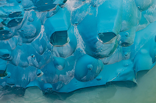 Small icebergs from Le Conte Glacier.