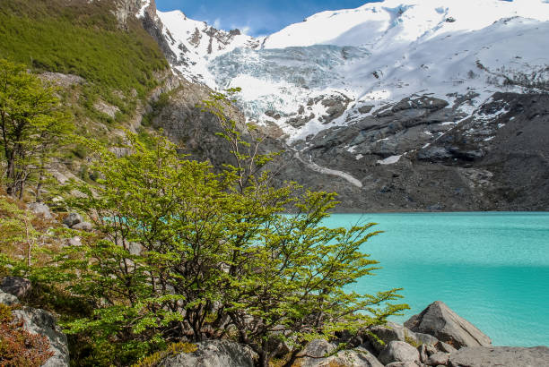 Waters of the Huemul lagoon are surprisingly blue,  few miles north of  El Chalten at the foot of the mountains surrounding the Campo de Hielo Sur