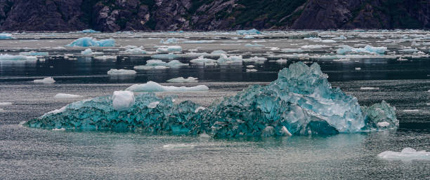 istock Small icebergs from Le Conte Glacier. Tongass National Forest. Alaska. 1448214004