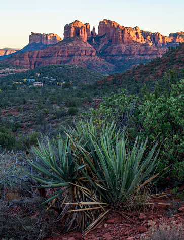 Photograph of Cathedral Rock in Sedona, Arizona.