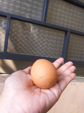 hand holding a boiled egg with cracked shell

￼