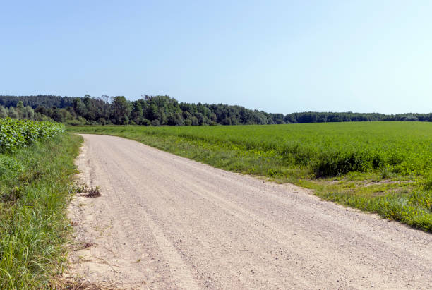 istock Dirt road in the field 1448222125