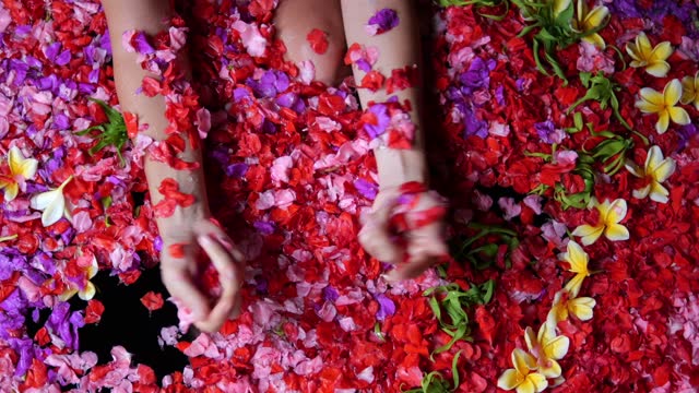 Flower petals float in the bathroom. Women's hands pick up rose petals from the water and throw them up. A woman relaxes in a bath with red and pink flowers. Aroma therapy concept with flowers.