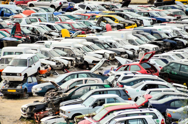 istock Old Junk Cars On Junkyard 1448224477