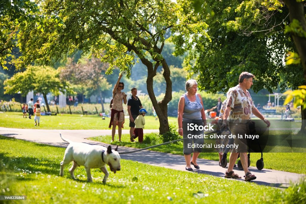 people walking dog in city park the hague - Royalty-free Alleen mannen Stockfoto