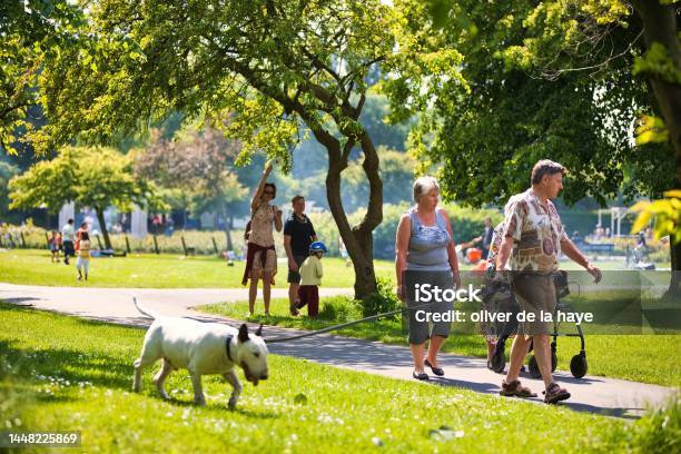 People Walking Dog In City Park The Hague Stockfoto en meer beelden van Alleen mannen - Alleen mannen, Alleen volwassenen, Buitenopname