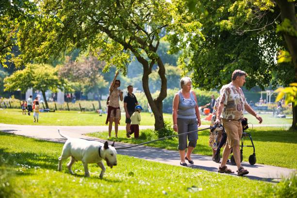 Free Stock Photo of Large Group of People Walking Around a Park ...