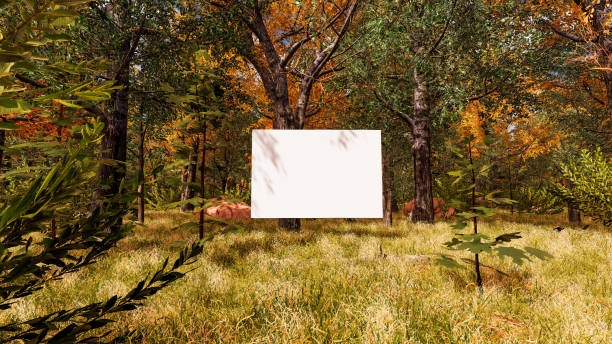 istock Graphic resources for sustainable development goals, biodiversity, a growing economy and ecology. 3D render with bilboard and canvas 1448225981