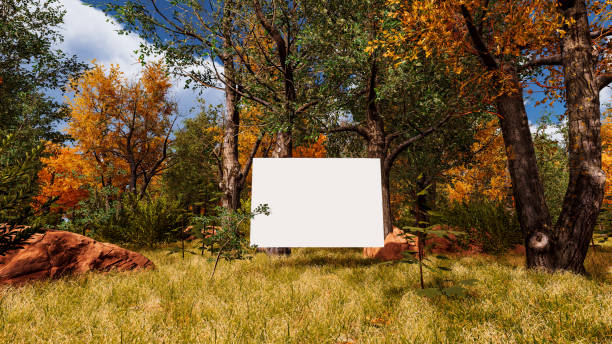 istock Graphic resources for sustainable development goals, biodiversity, a growing economy and ecology. 3D render with bilboard and canvas 1448226588
