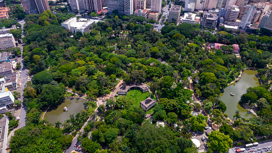 Aerial view of Américo Renné Giannetti Park, Belo Horizonte, Minas Gerais, Brazil. City center.