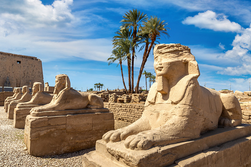 Sphinx Allee (Avenue of the Sphinxes) in a sunny day, Luxor, Egypt