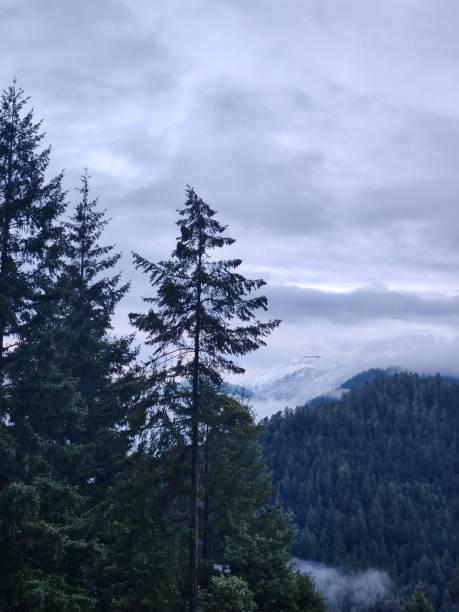 istock Snow on top of the mountains 1448239587