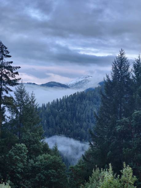 istock Snowy mountain peaks with fog 1448239589
