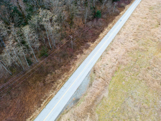 istock Remote Country Road Running Between a Grassy Meadow and A Deciduous Forest in Autumn Arial Photo 1448243066
