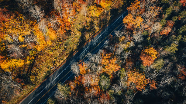 West Virginia road thru the mountains in the fall stock photo