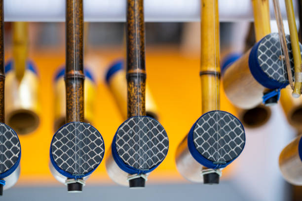 musical instrument erhu (chinese violin) - erhu imagens e fotografias de stock