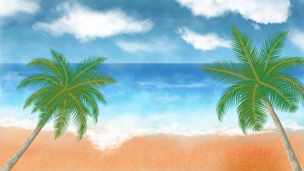 istock illustration of coconut palm tree on a beach 1448254577