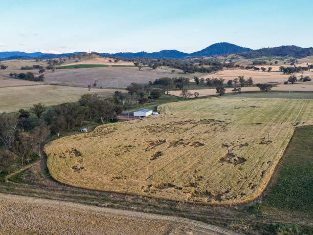 istock Harvest from the air 1448255619
