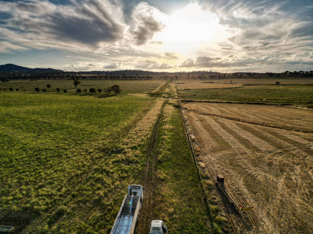 istock Harvest from the air 1448255826