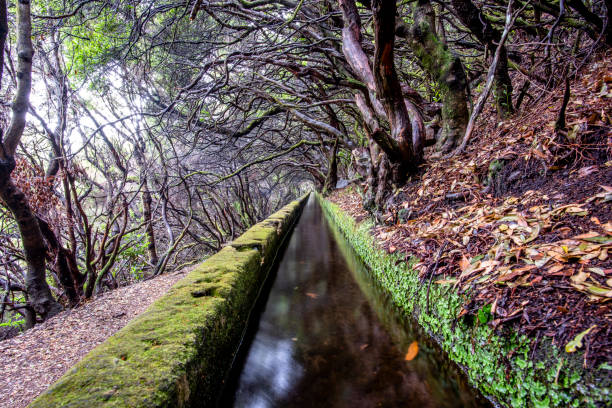 The 25 Fontes levada in Calheta in Rabaçal with cascade and fountain and lagoon in Madeira Island