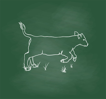 Veal running in outdoors in the field playing away.  Sketch illustration in vector format