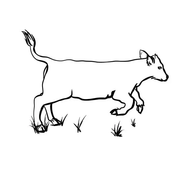 Vector illustration of LittleRunningCow