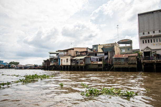 mekongdelta - stand up paddling stock-fotos und bilder