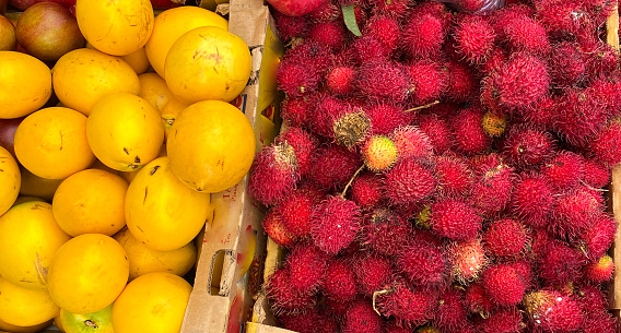 Rambutan fruits  , low angle view