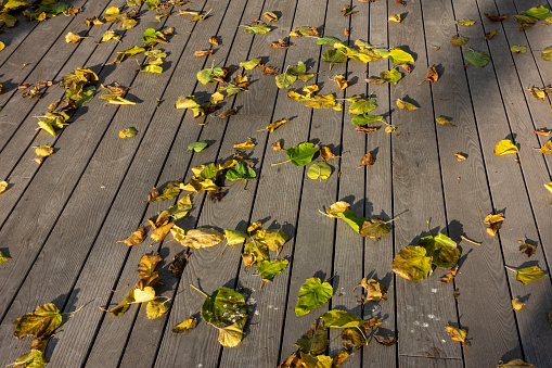 Autum leaves on wooden deck