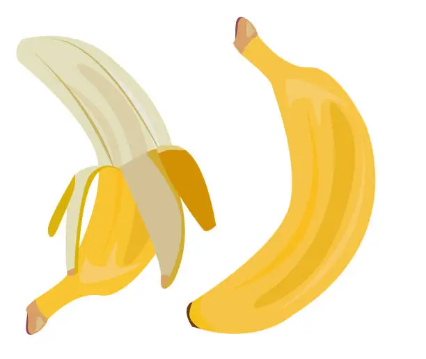 Vector illustration of banana