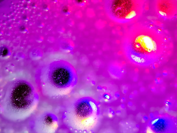istock macro colorful soap bubbles gradient abstract background blue pink 1448271542