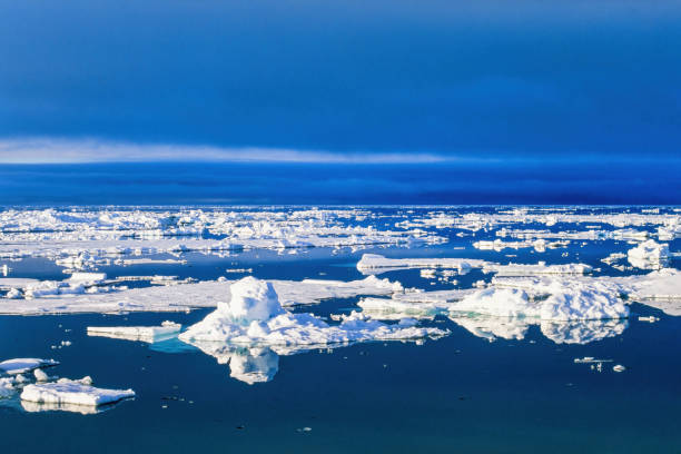 istock Drift ice on the sea in the arctic 1448272735