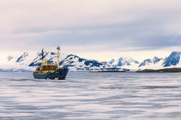 istock Ship in the ice with Polar bears in the Arctic 1448272775