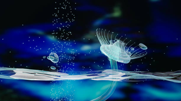 istock Evolution and Cycles of Water and Life 1448275748