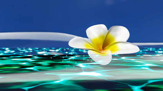 Plumeria, a tropical flower swaying in waves of light