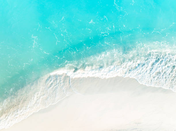istock White sand beach with wave water in the seashore as ecology background 1448282345