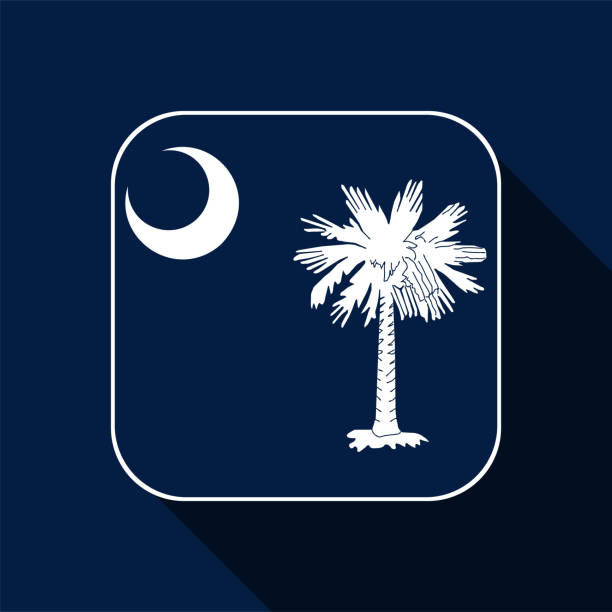 사우스 캐롤라이나 주 국기. 벡터 일러스트레이션. - south carolina flag interface icons symbol stock illustrations